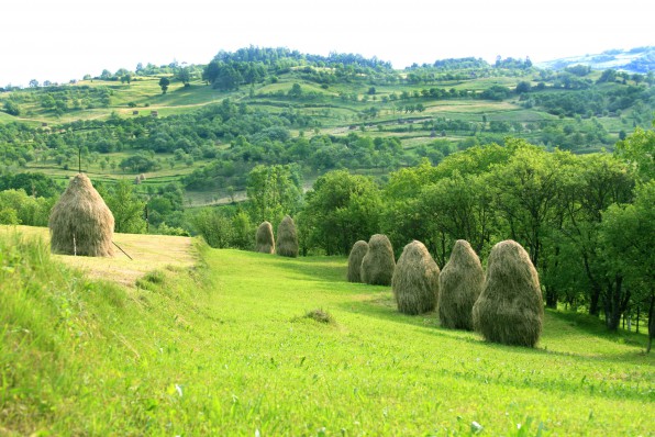 Maramuresch Landschaft